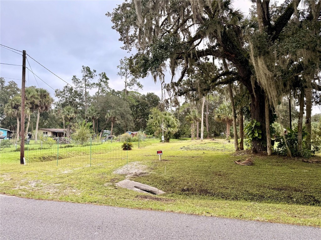 1003 Saint Catherine Avenue Christmas FL 32709 L4956530 image2