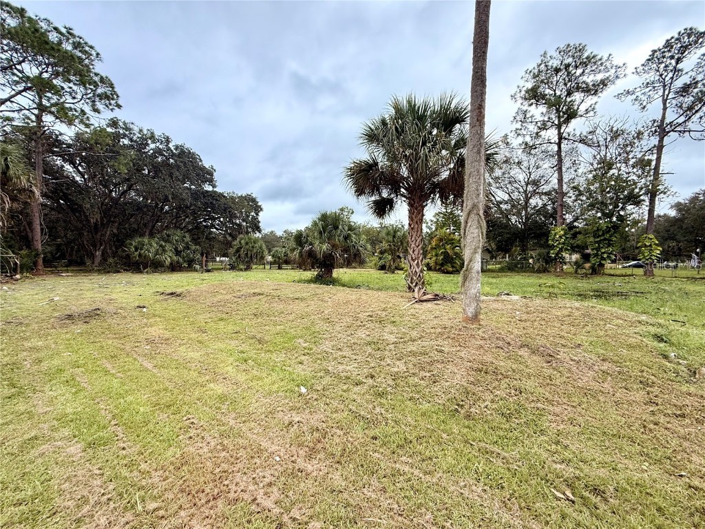 1003 Saint Catherine Avenue Christmas FL 32709 L4956530 image5