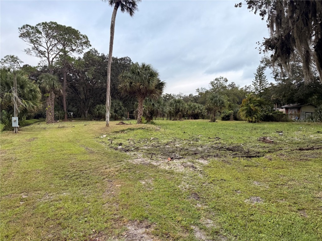 1003 Saint Catherine Avenue Christmas FL 32709 L4956530 image7