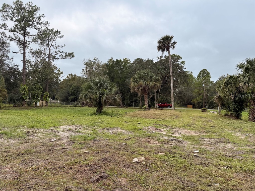 1003 Saint Catherine Avenue Christmas FL 32709 L4956530 image9