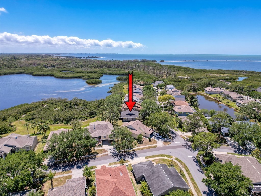 1003 Teal Pointe Tarpon Springs FL 34689 - LAKE AVOCA TB8375862 image1