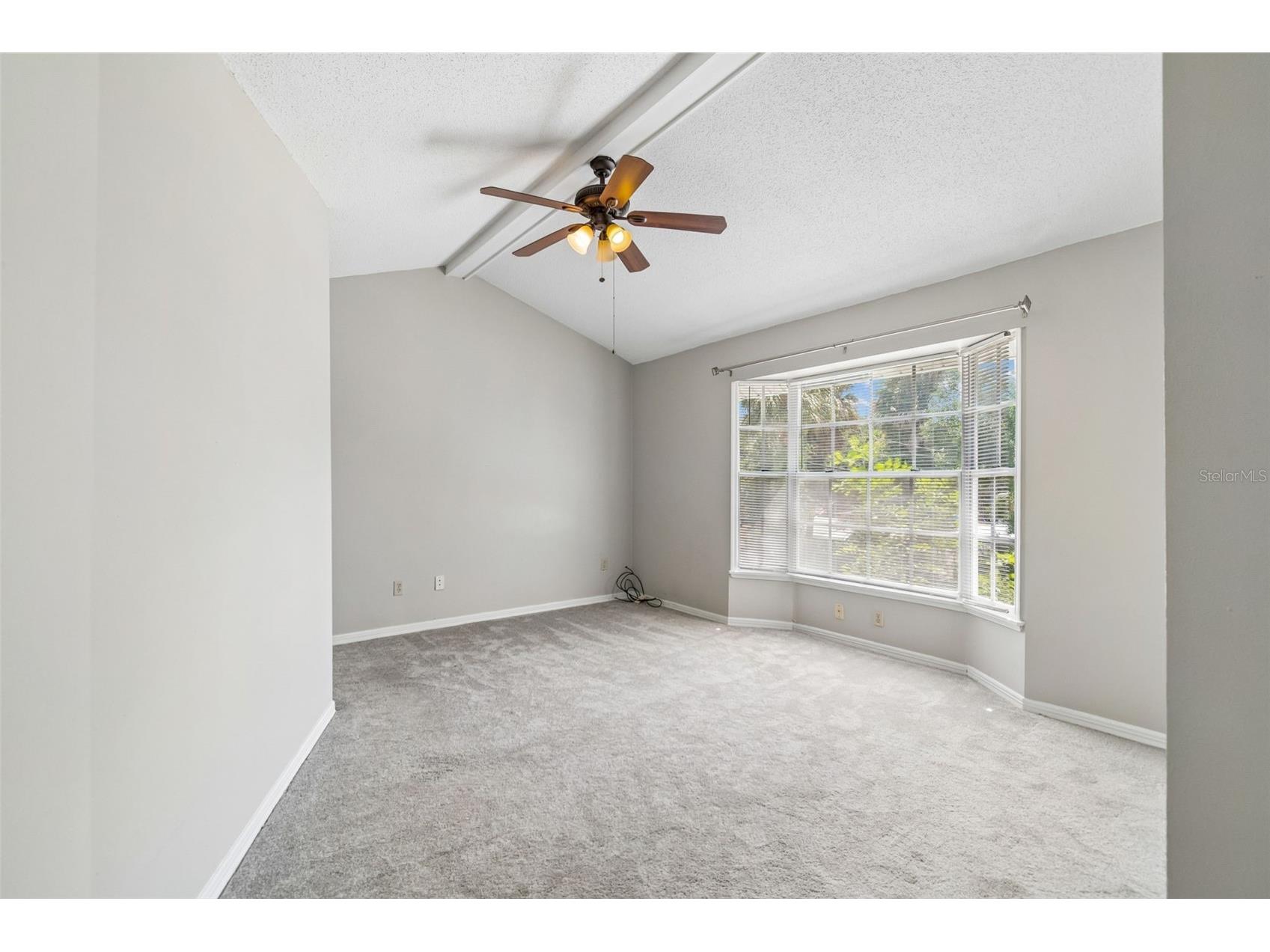 1003 W Horatio Street #A Tampa FL 33606 TB8487001 image26