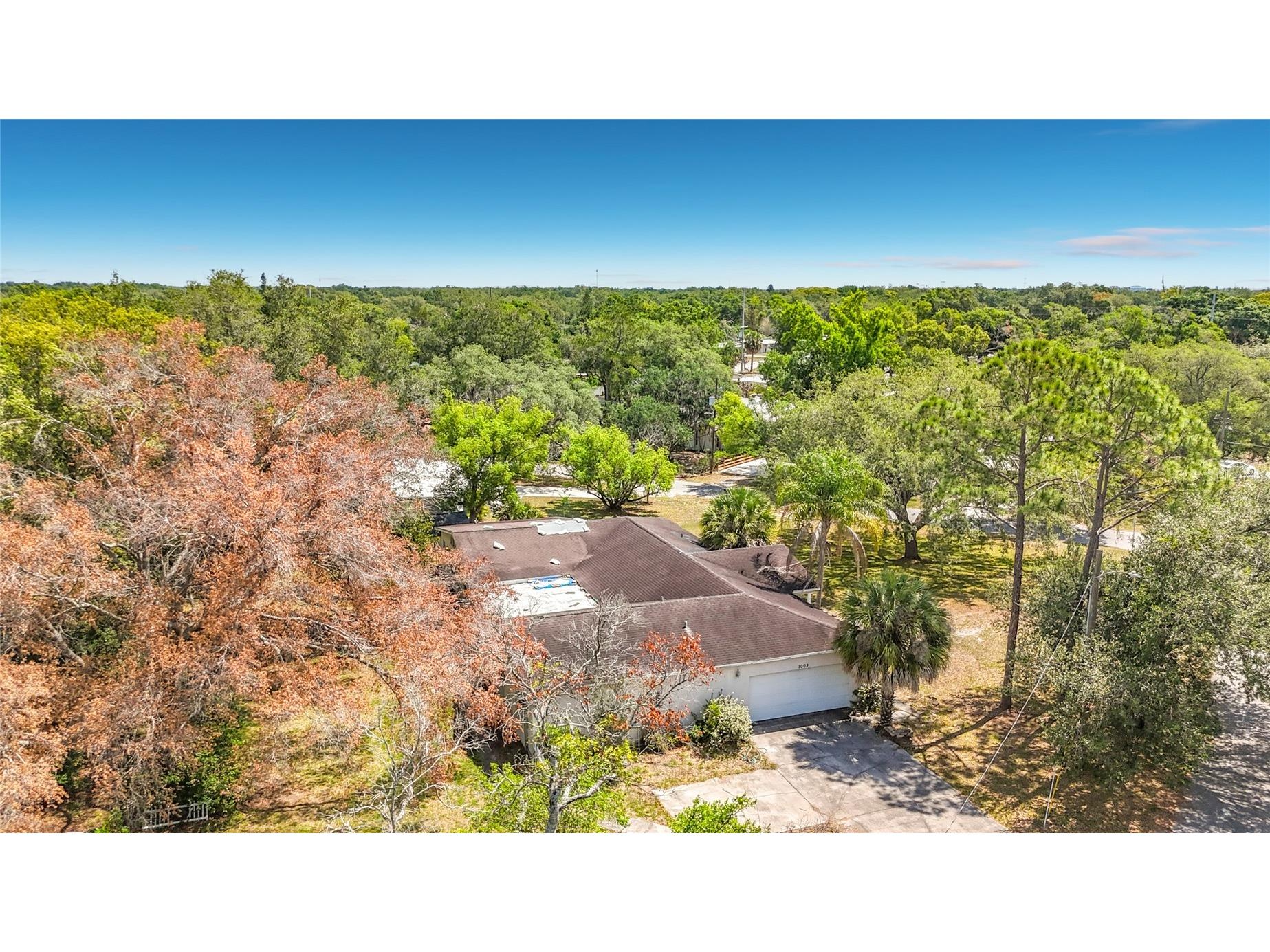 1003 W Outbound Place Tampa FL 33612 TB8505290 image66