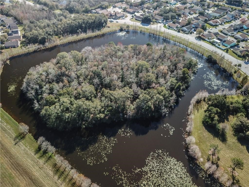 1003 Winterberry Lane Orlando FL 32811 O6405637 image3