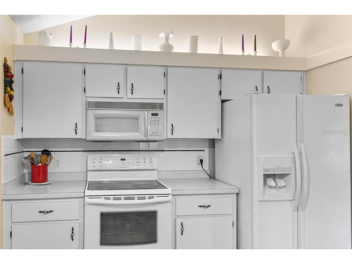 1003 Woodward Oaks Circle Eustis FL 32726 G5101783 image10