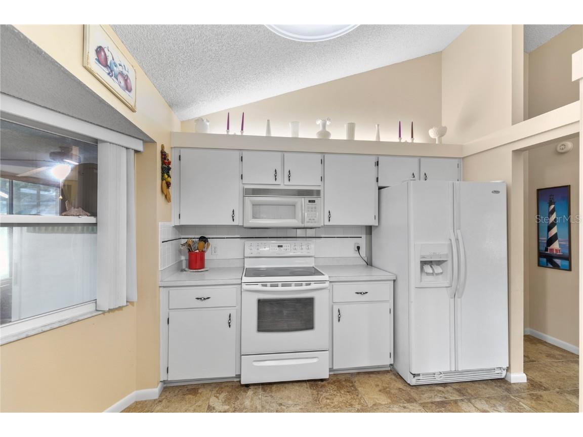 1003 Woodward Oaks Circle Eustis FL 32726 G5101783 image7