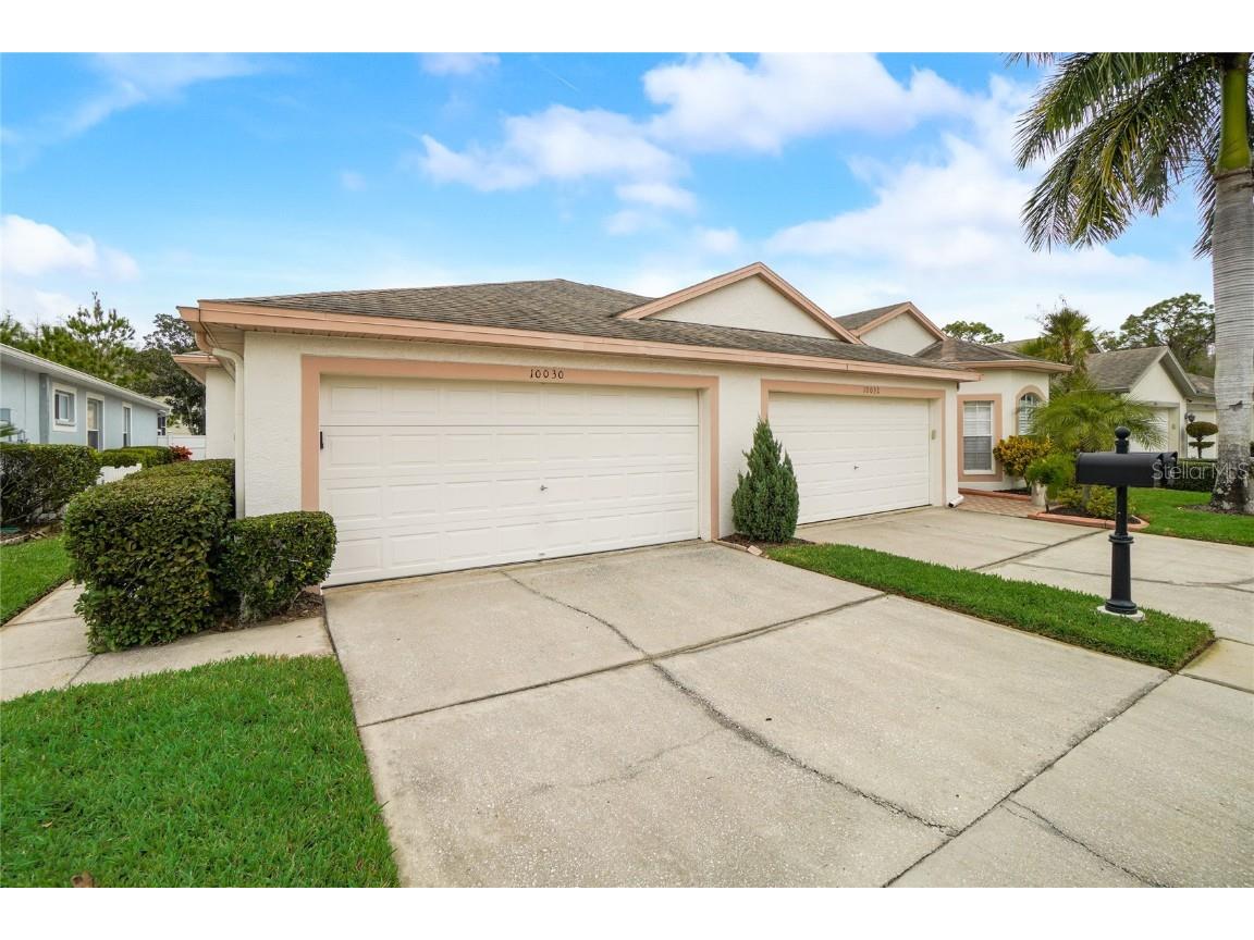 10030 Bucklin Street Tampa FL 33625 T3497988 image1