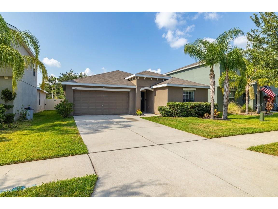 10030 Crested Fringe Drive Riverview FL 33578 T3531309 image1