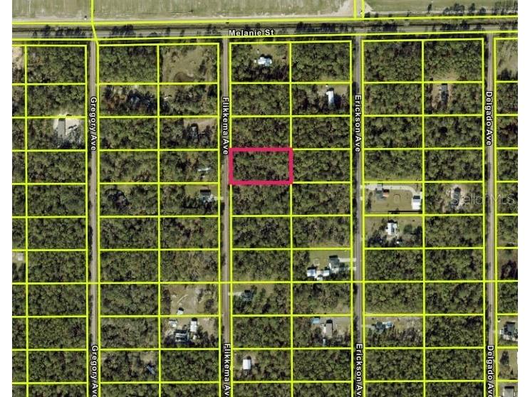 10030 Flikkema Avenue Hastings FL 32145 OM712439 image1