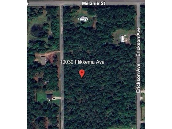 10030 Flikkema Avenue Hastings FL 32145 OM712439 image2