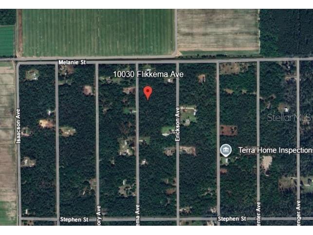 10030 Flikkema Avenue Hastings FL 32145 OM712439 image3