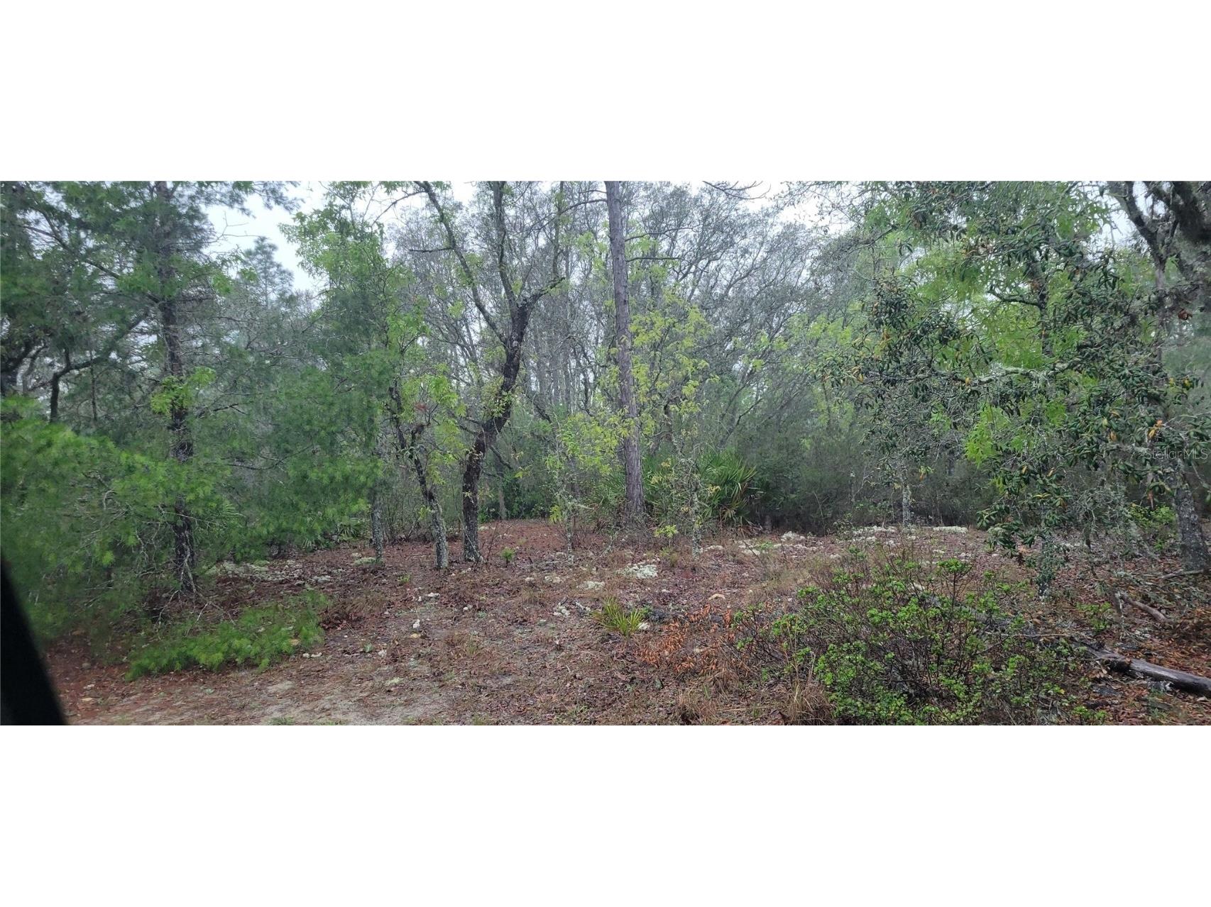10030 N Bye Point Dunnellon FL 34433 T3514887 image1