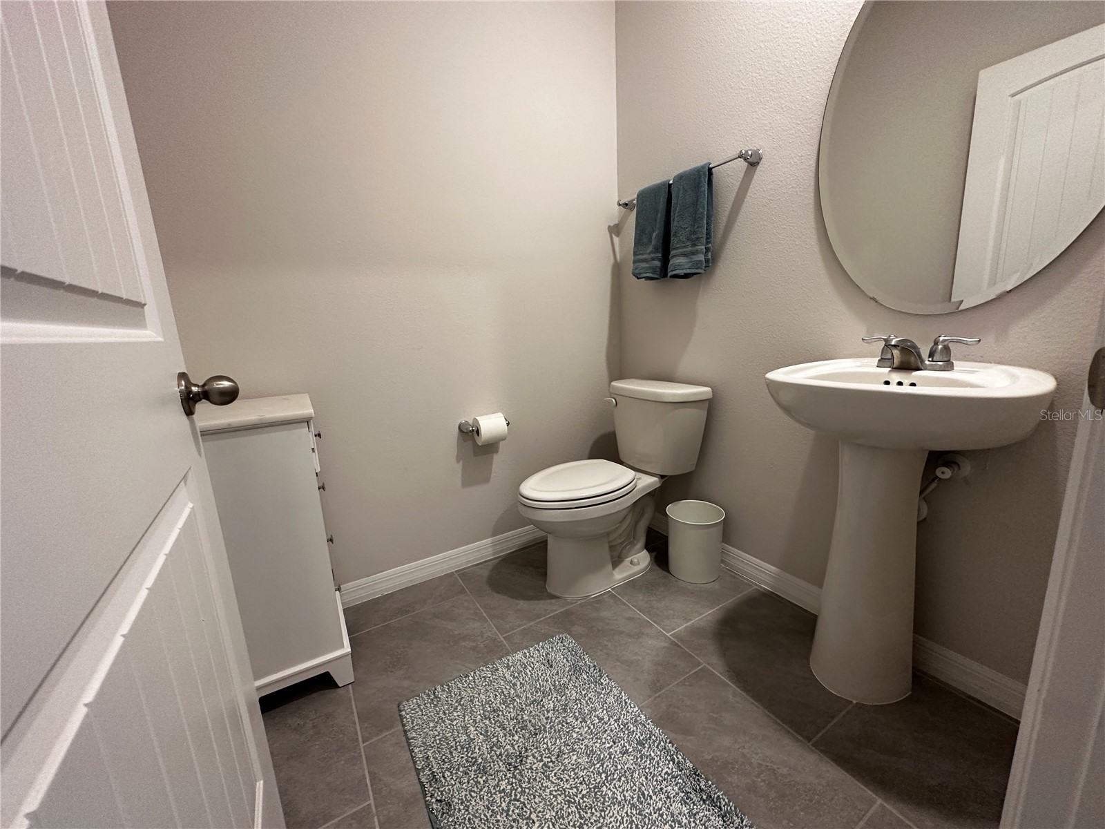 10030 Salt Point Drive Winter Garden FL 34787 O6393755 image14