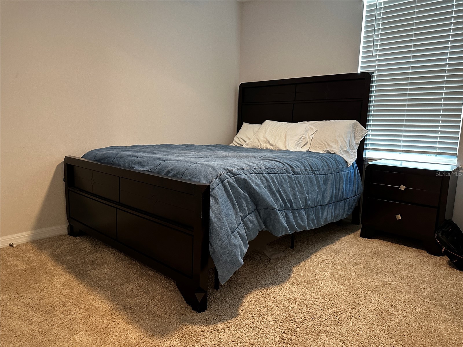 10030 Salt Point Drive Winter Garden FL 34787 O6393755 image22