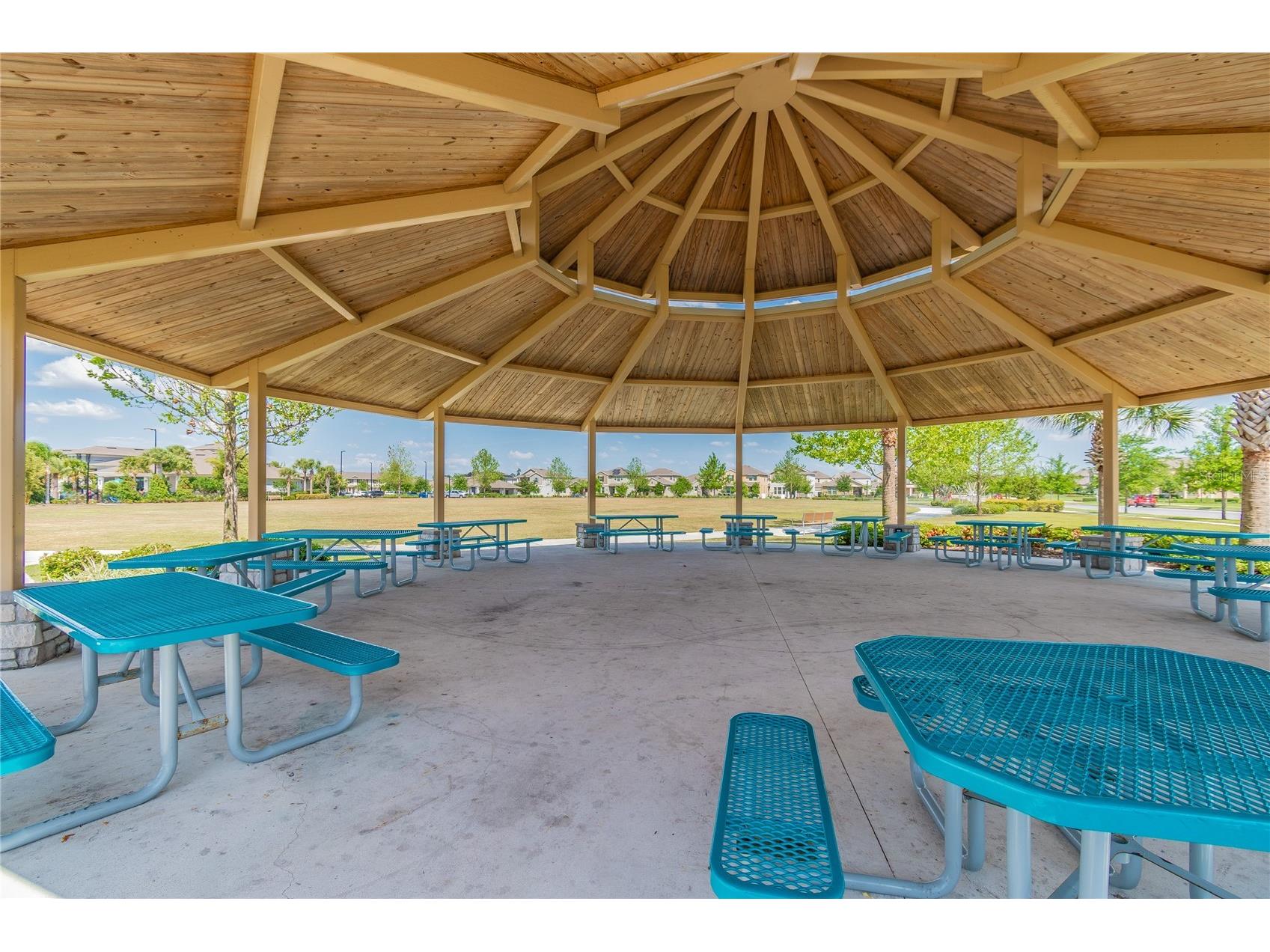 10030 Salt Point Drive Winter Garden FL 34787 O6393755 image38