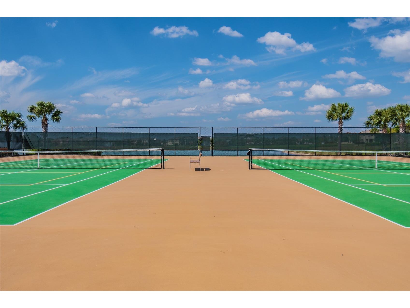 10030 Salt Point Drive Winter Garden FL 34787 O6393755 image39