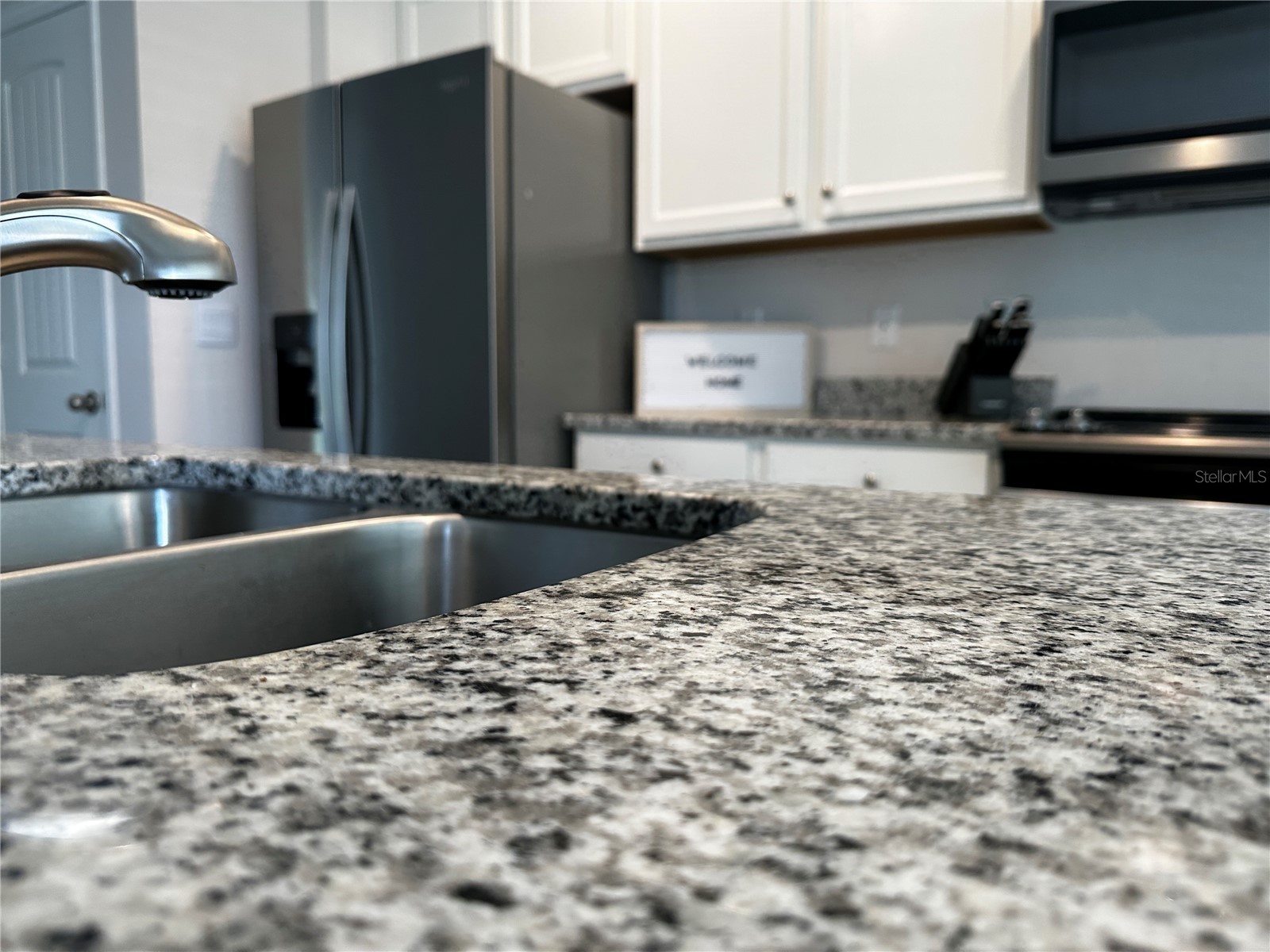 10030 Salt Point Drive Winter Garden FL 34787 O6393755 image4