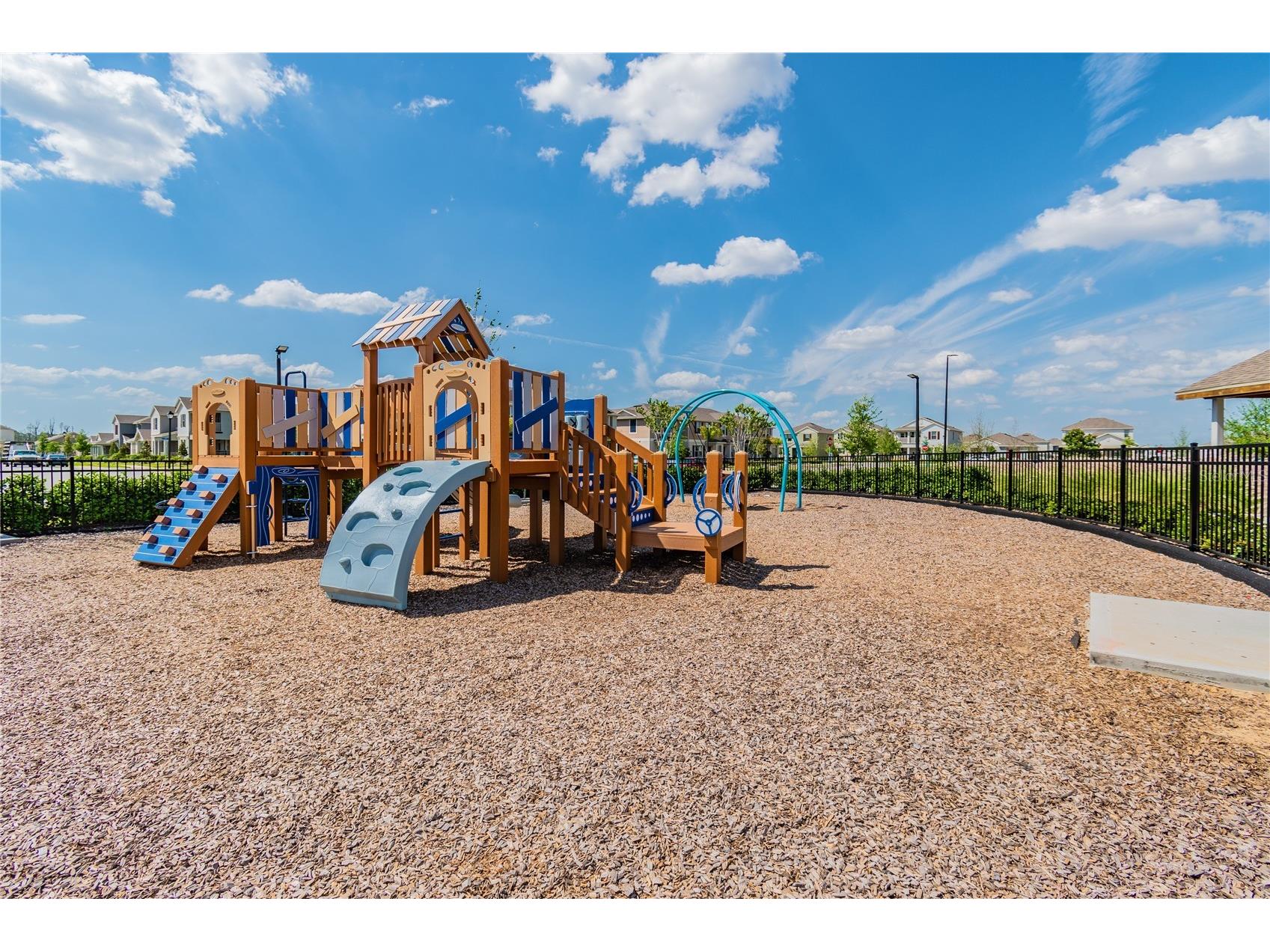 10030 Salt Point Drive Winter Garden FL 34787 O6393755 image44