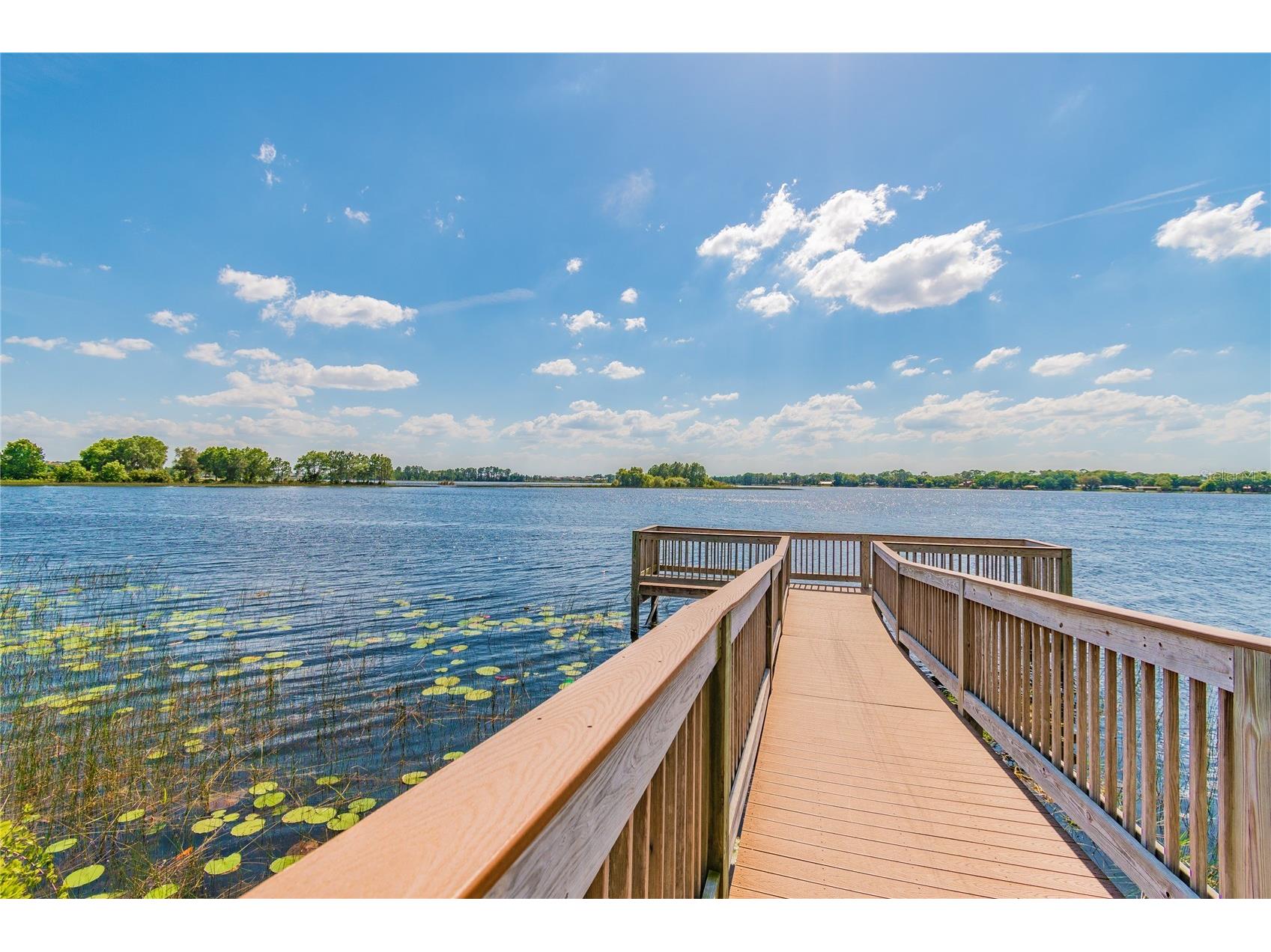 10030 Salt Point Drive Winter Garden FL 34787 O6393755 image52