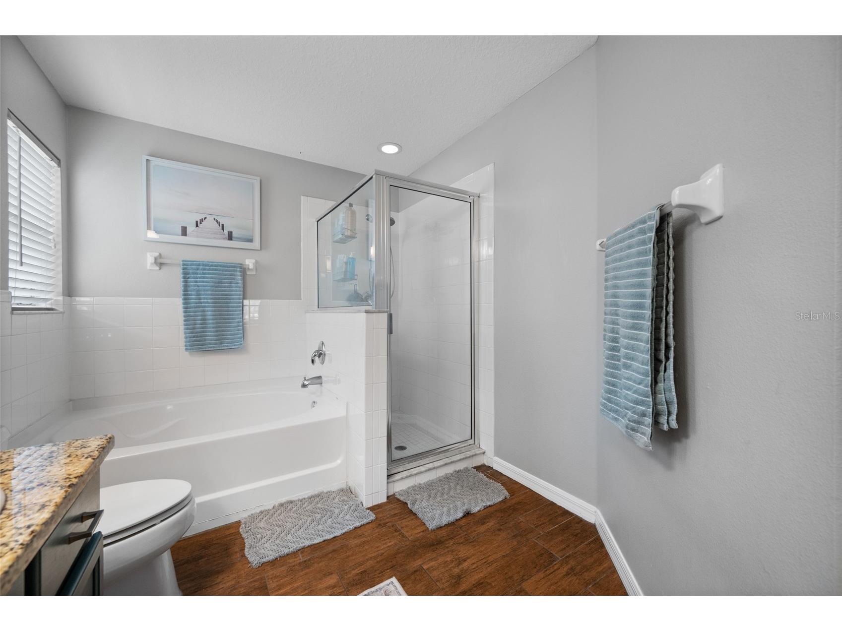 10031 Creek Bluff Drive Riverview FL 33578 TB8497054 image19