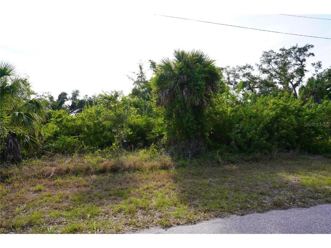 10031 Flat River Street Port Charlotte FL 33981 C7492918 image1