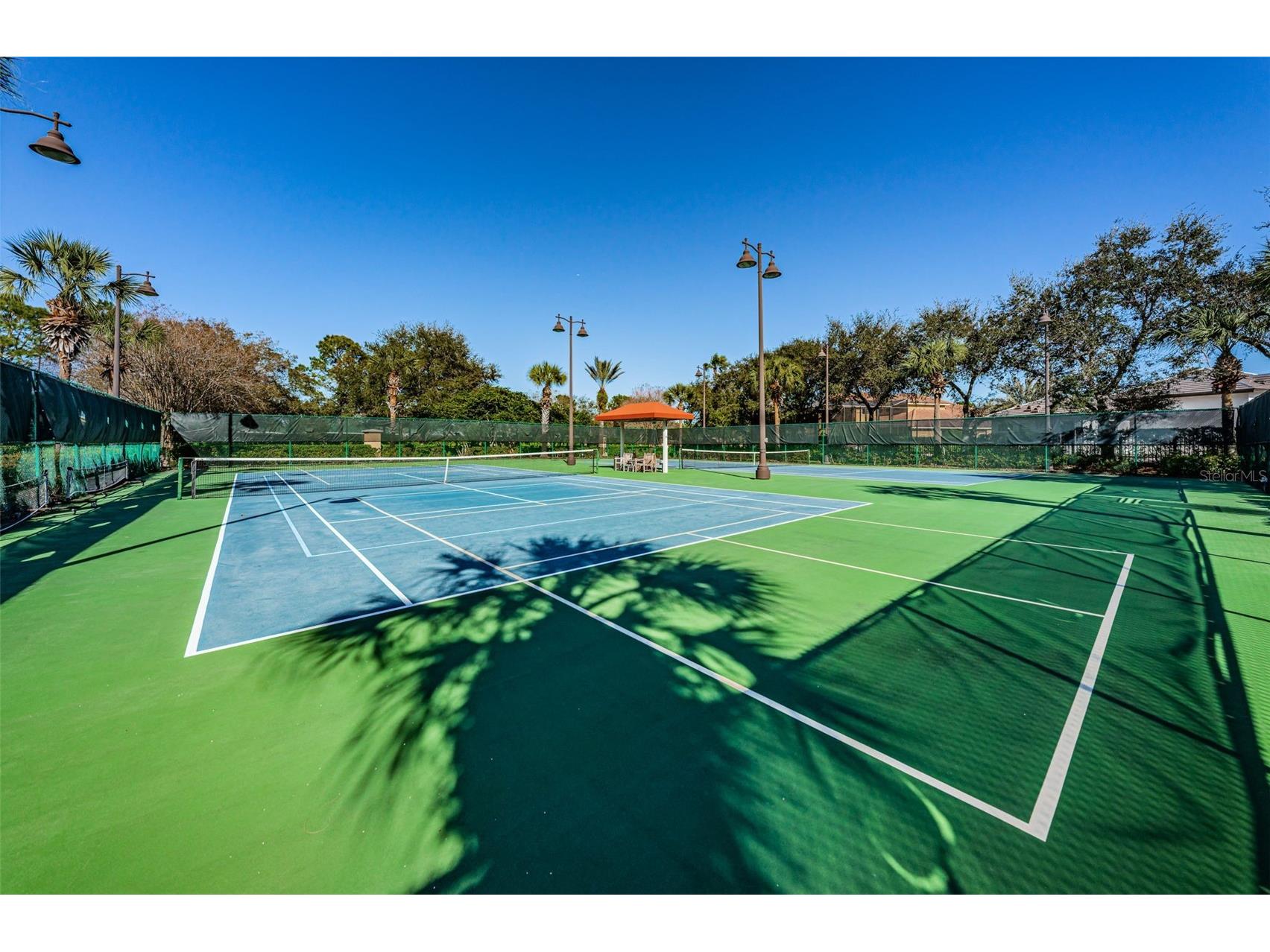 10031 Milano Drive Trinity FL 34655 W7885609 image100