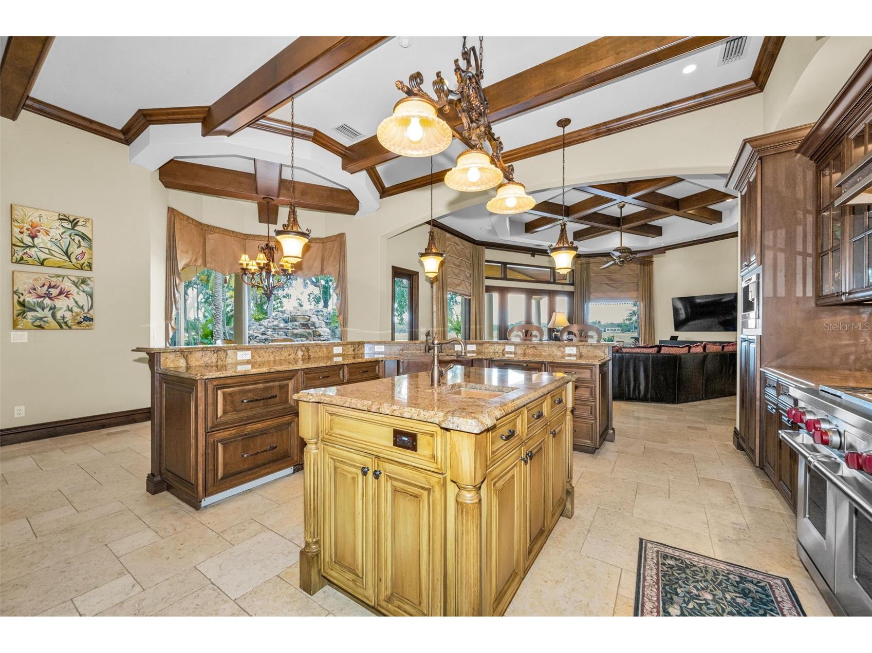 10031 Milano Drive Trinity FL 34655 W7885609 image21