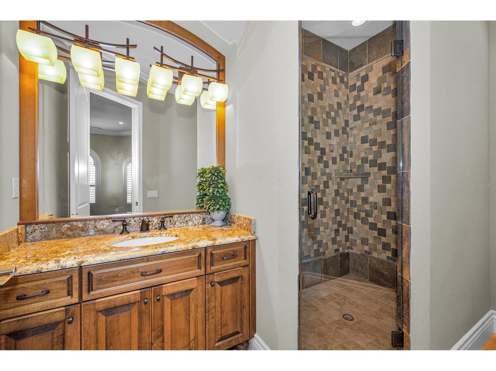 10031 Milano Drive Trinity FL 34655 W7885609 image67