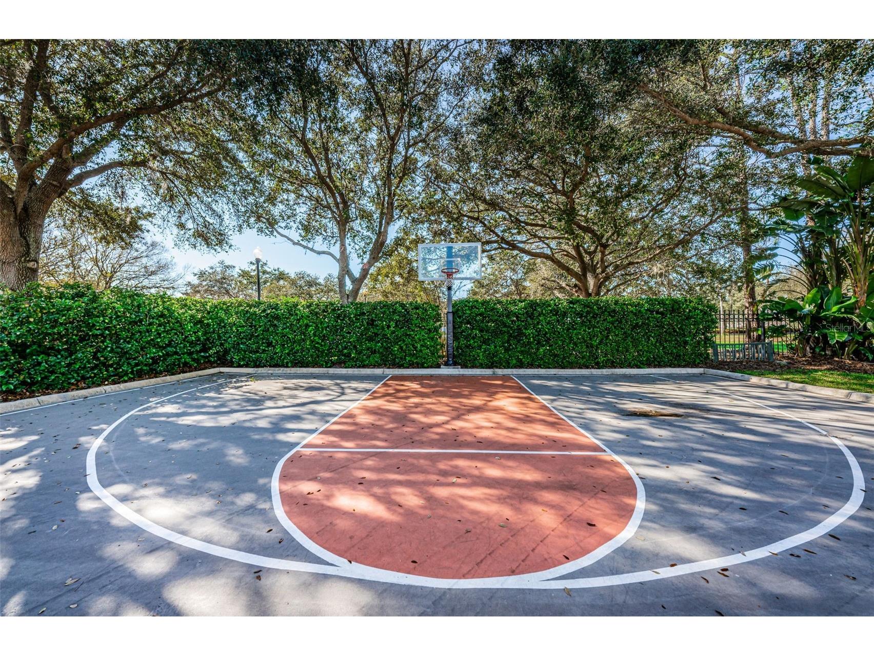 10031 Milano Drive Trinity FL 34655 W7885609 image99