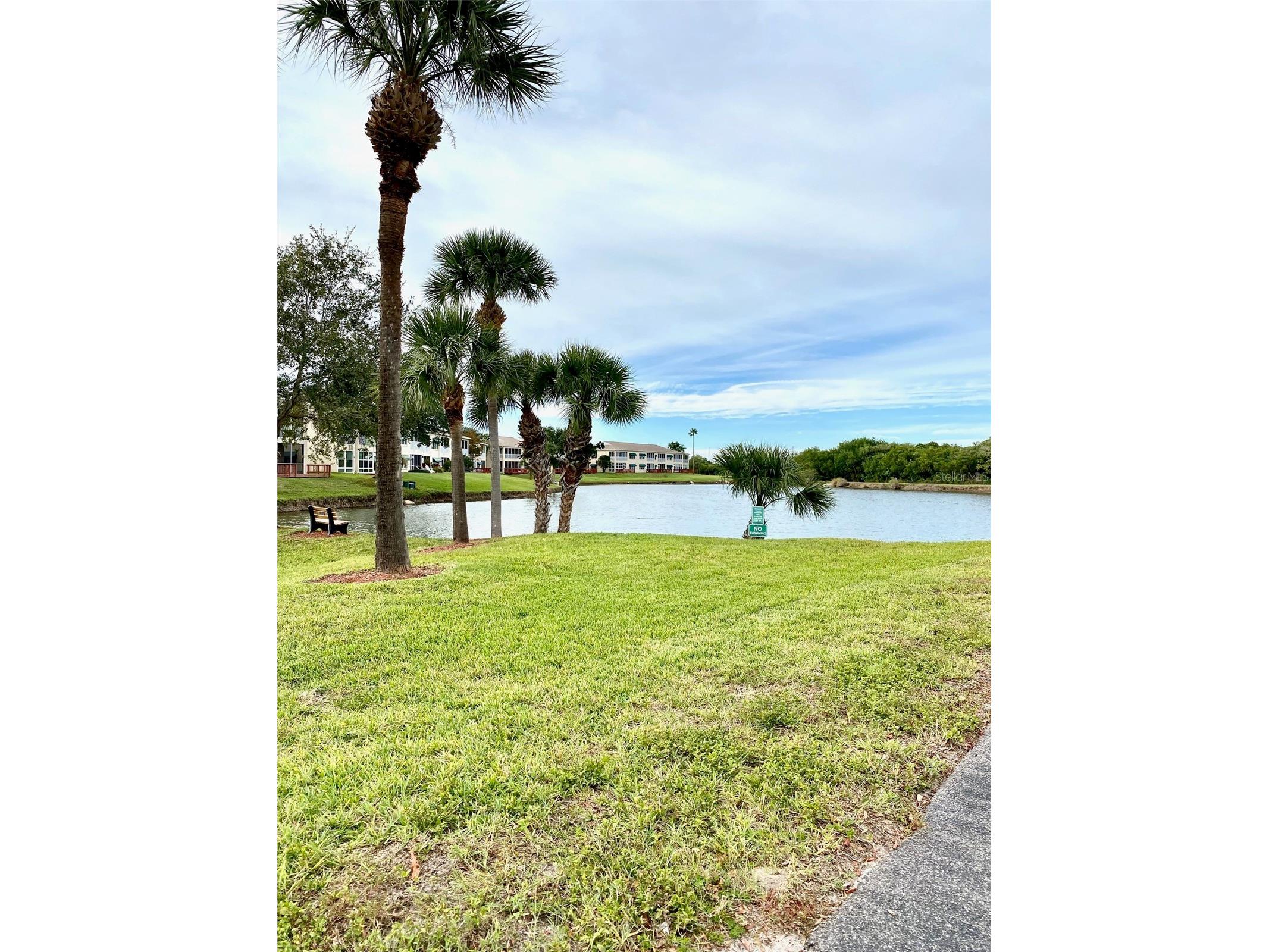 10032 65th Avenue N #17 Saint Petersburg FL 33708 TB8474751 image24