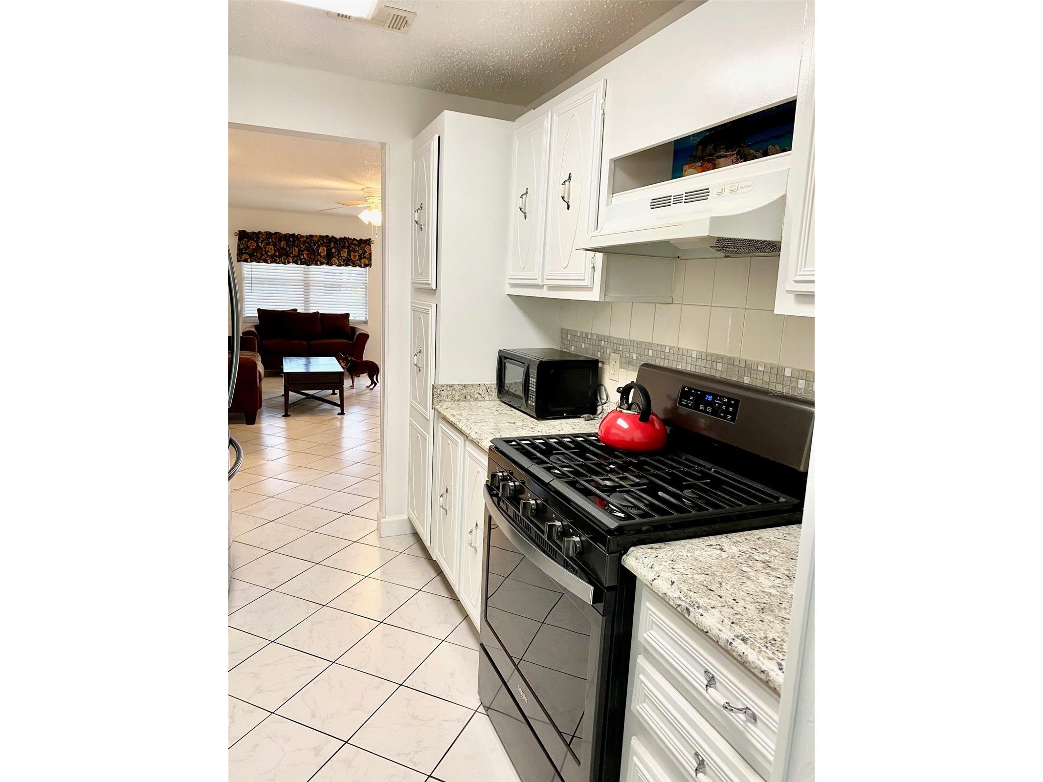 10032 65th Avenue N #17 Saint Petersburg FL 33708 TB8474751 image6