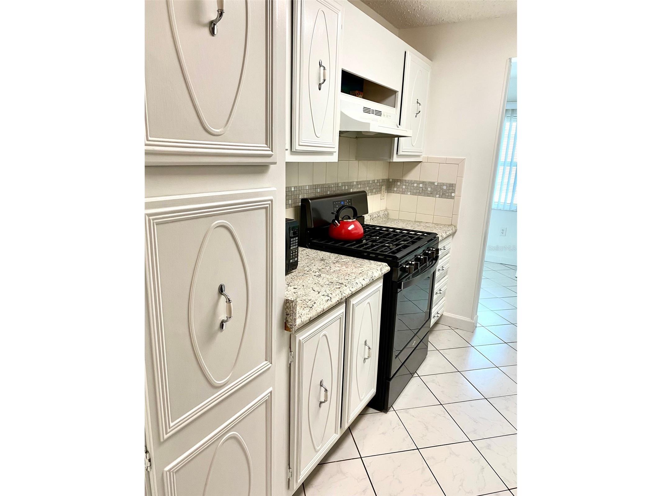 10032 65th Avenue N #17 Saint Petersburg FL 33708 TB8474751 image8