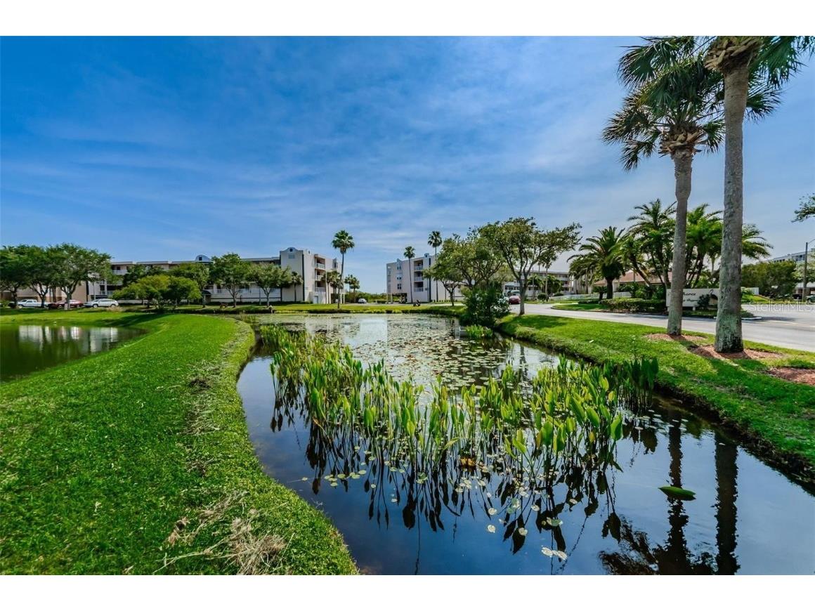 10032 65th Avenue N #24 Saint Petersburg FL 33708 TB8448244 image42