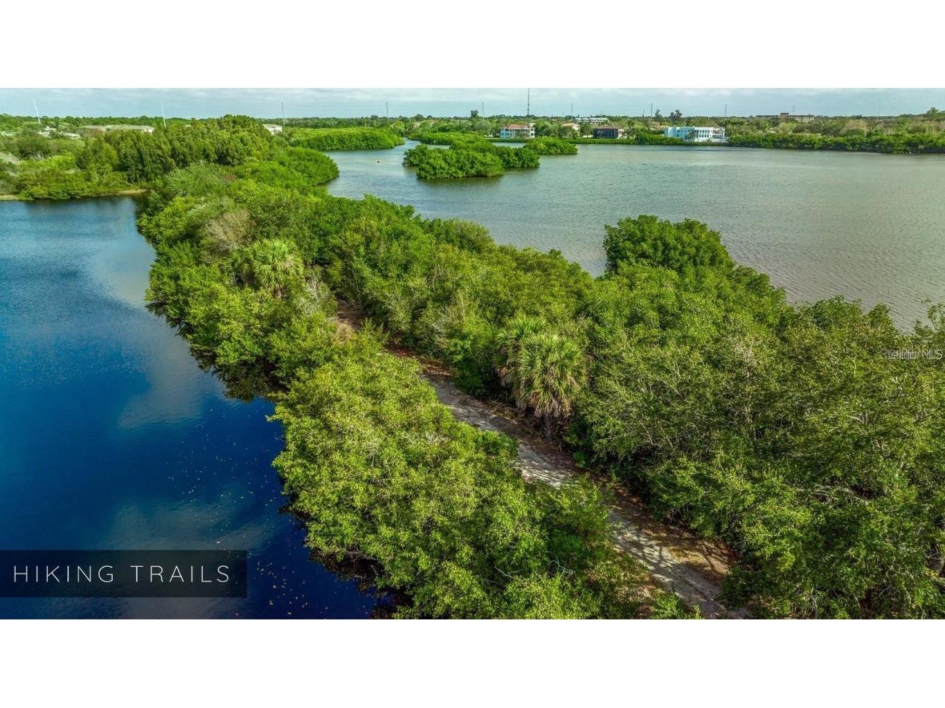 10032 65th Avenue N #24 Saint Petersburg FL 33708 TB8448244 image46