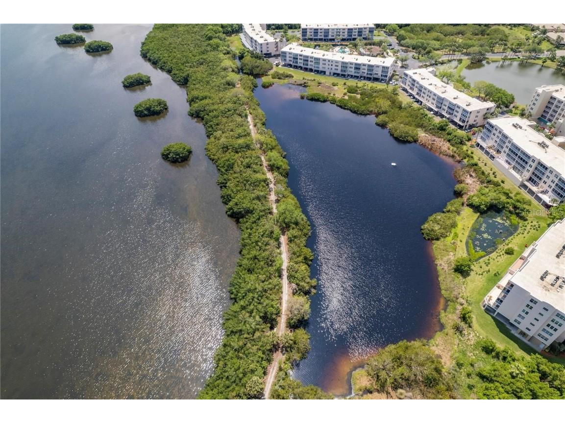 10032 65th Avenue N #24 Saint Petersburg FL 33708 TB8448244 image47
