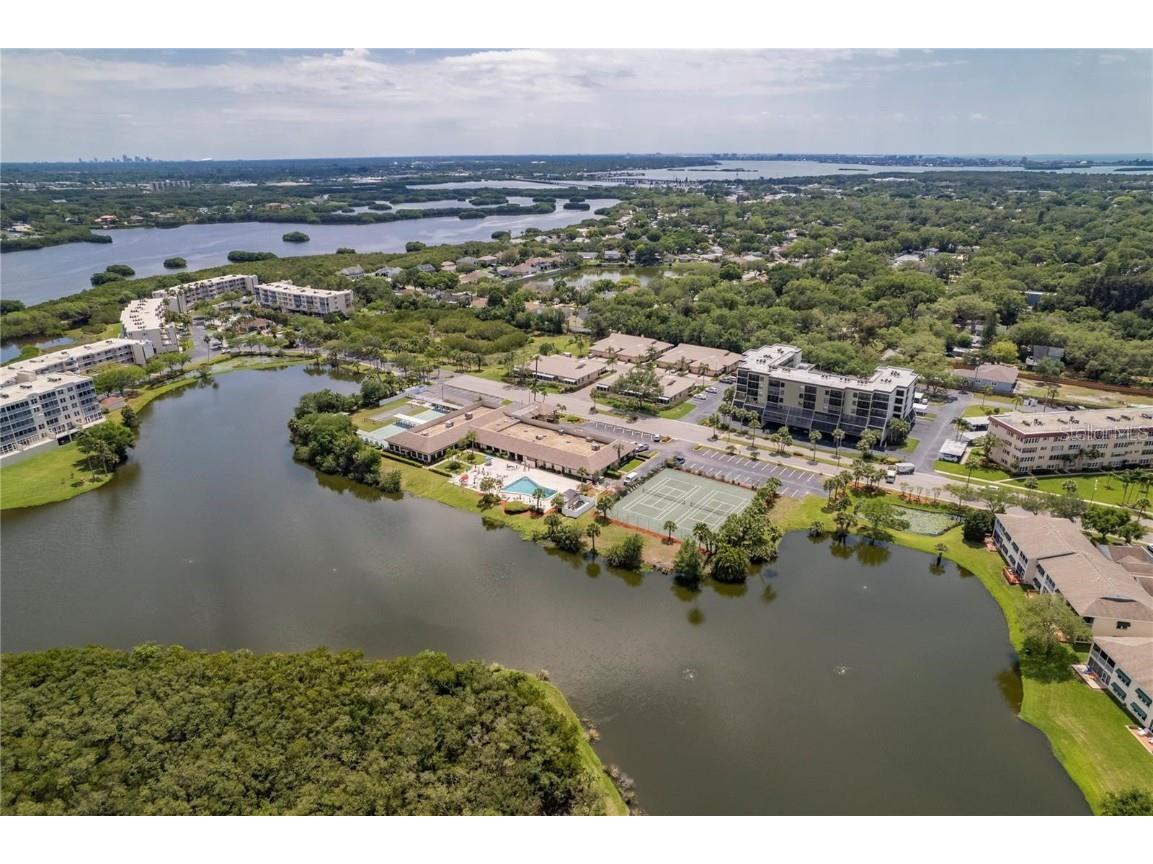 10032 65th Avenue N #24 Saint Petersburg FL 33708 TB8448244 image53