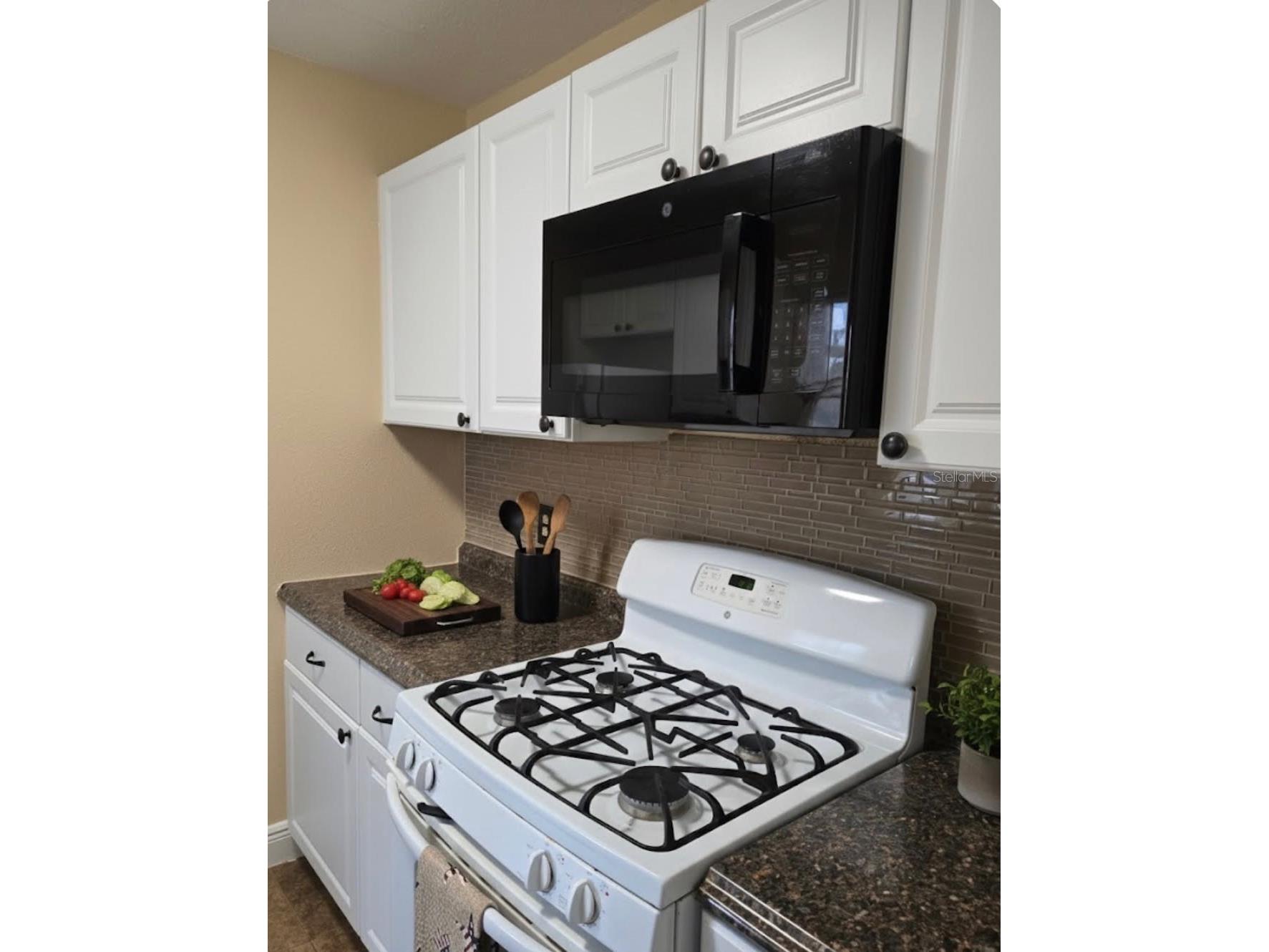10032 65th Avenue N #8 Saint Petersburg FL 33708 TB8481826 image3