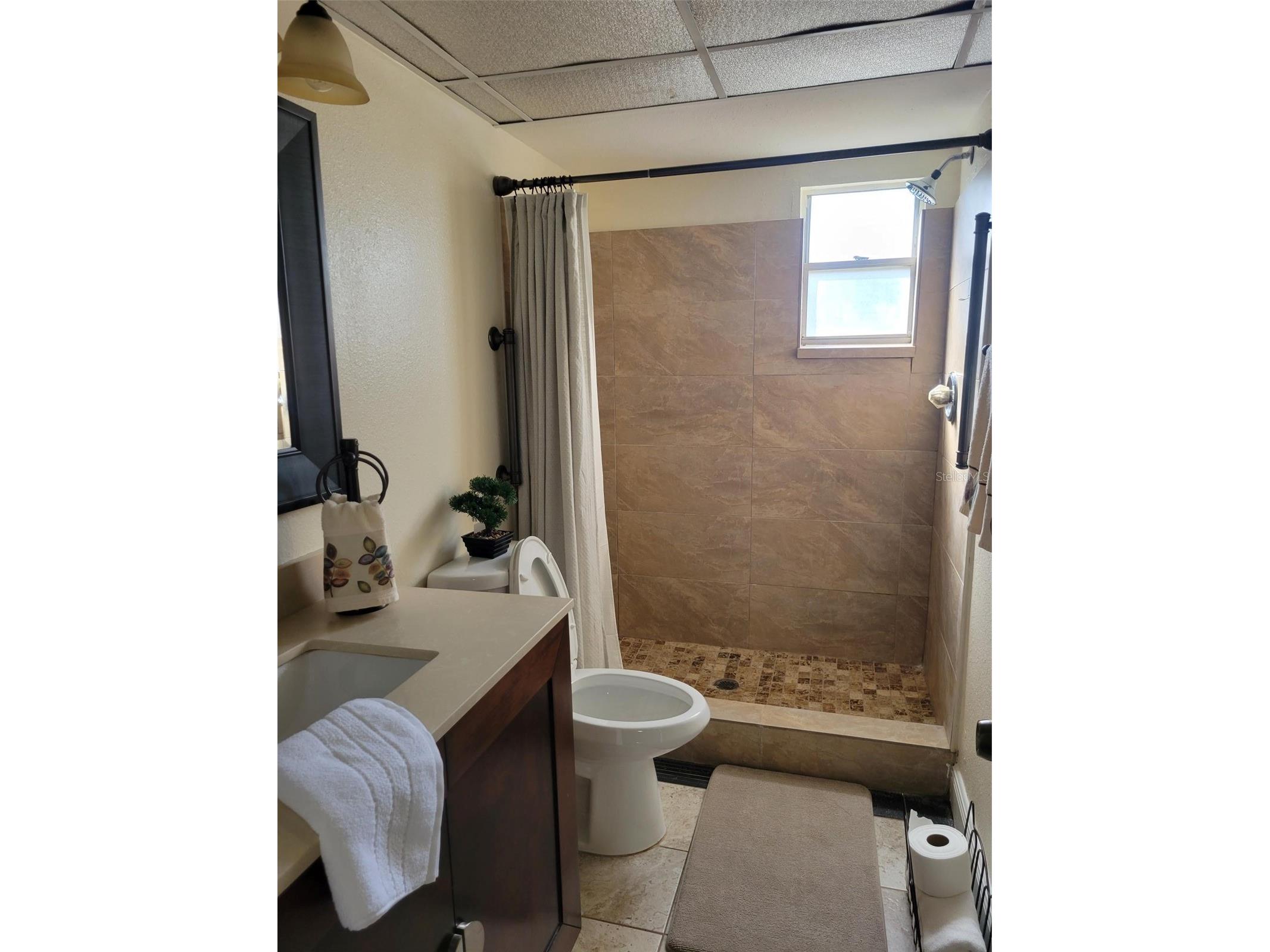 10032 65th Avenue N #8 Saint Petersburg FL 33708 TB8481826 image36
