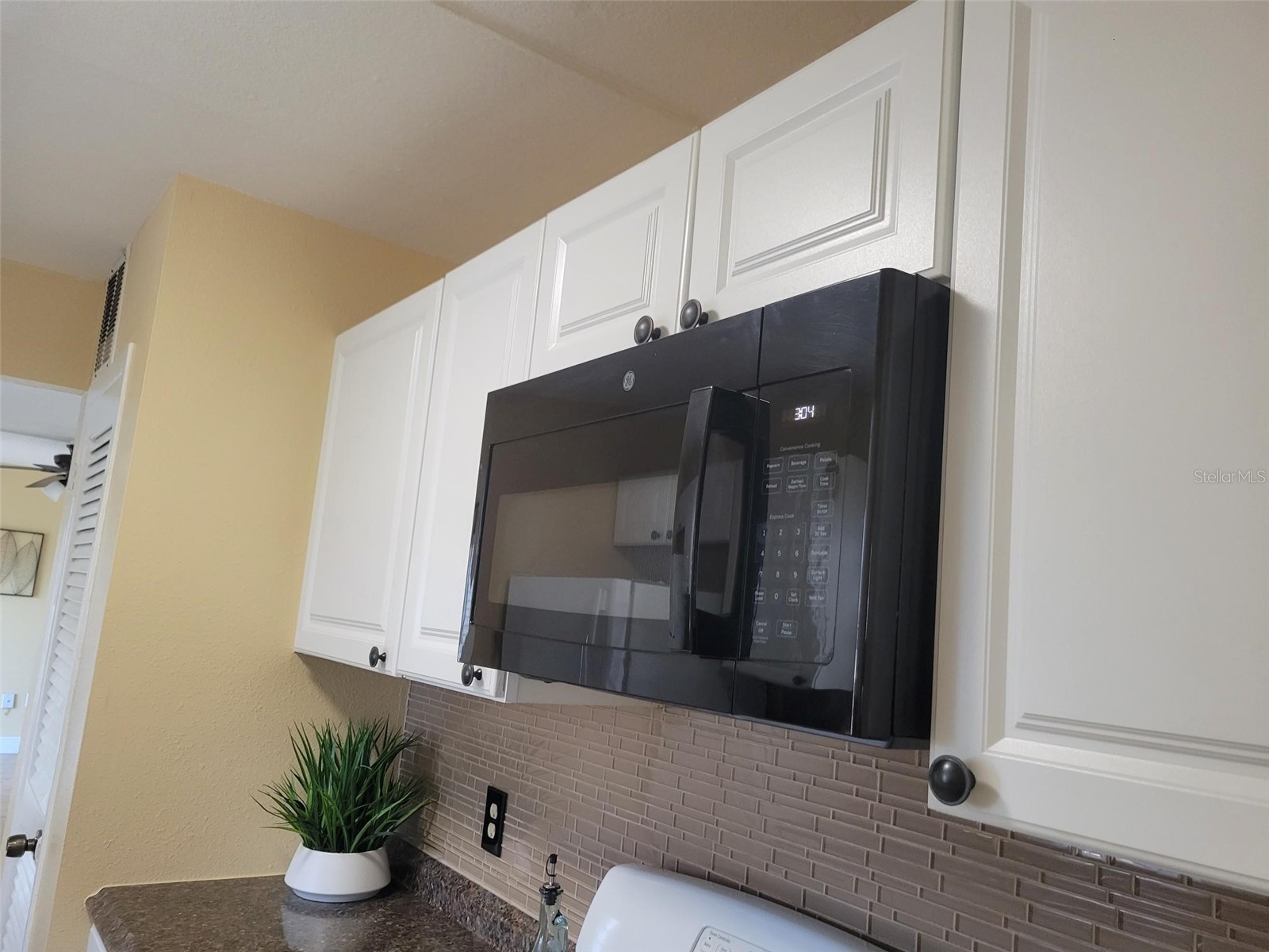 10032 65th Avenue N #8 Saint Petersburg FL 33708 TB8481826 image39