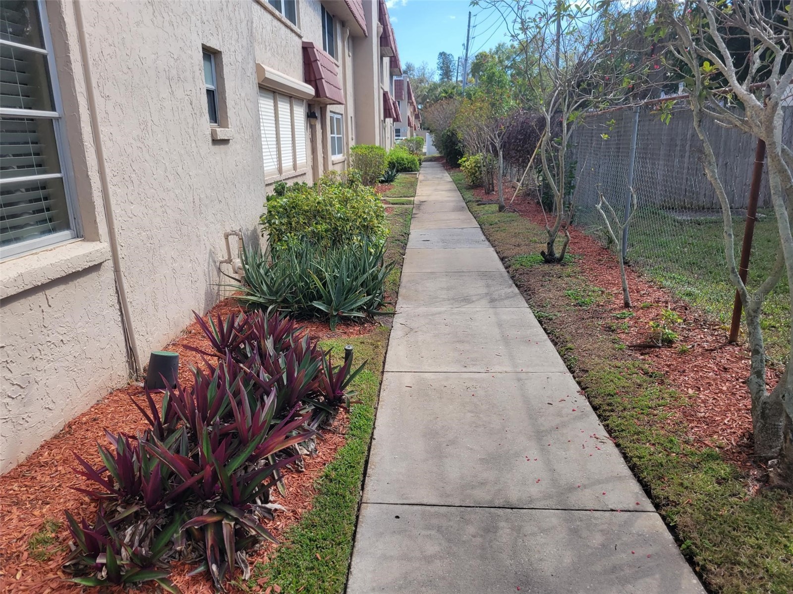10032 65th Avenue N #8 Saint Petersburg FL 33708 TB8481826 image40
