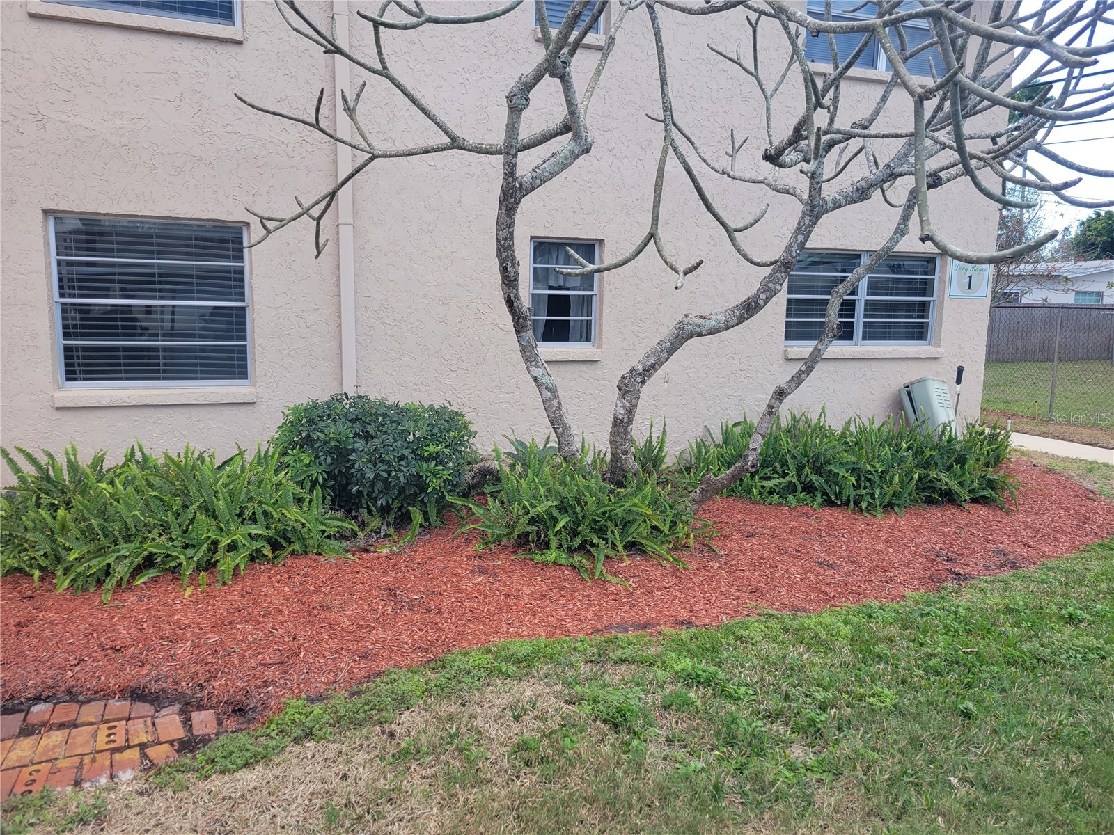 10032 65th Avenue N #8 Saint Petersburg FL 33708 TB8481826 image56