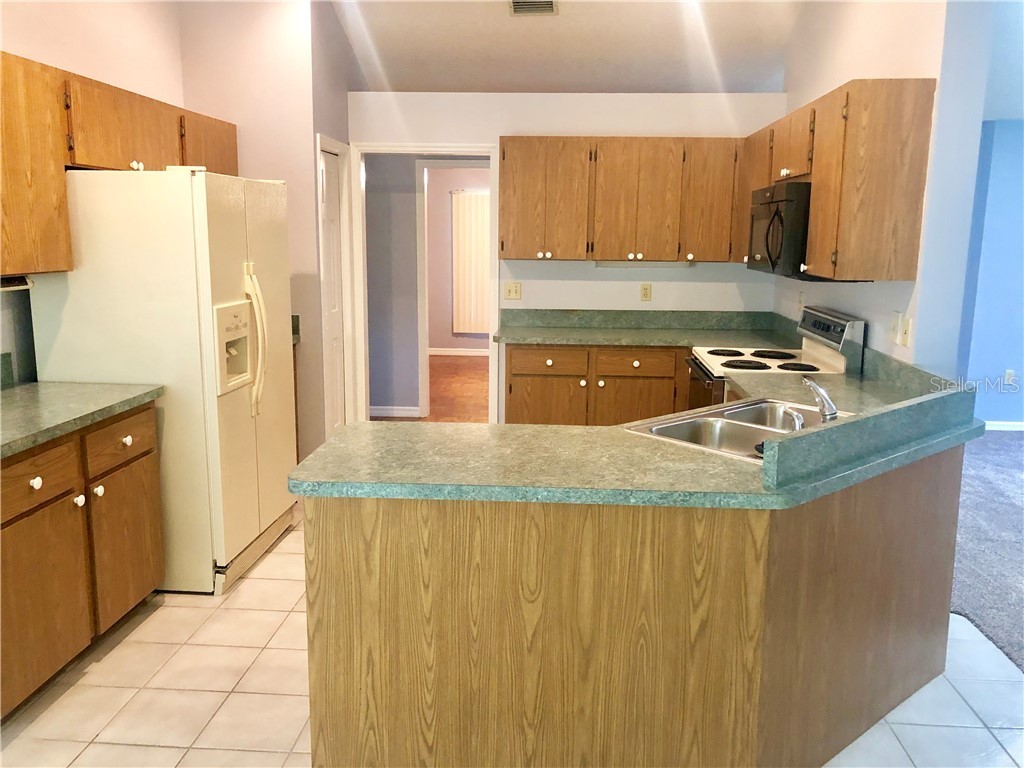 10032 Morningside Drive Leesburg FL 34788 G5019605 image31