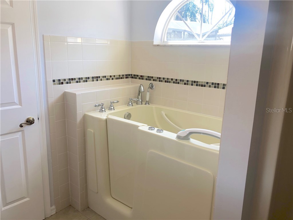 10032 Morningside Drive Leesburg FL 34788 G5019605 image39