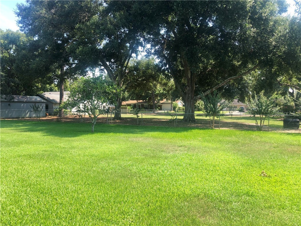 10032 Morningside Drive Leesburg FL 34788 G5019605 image6