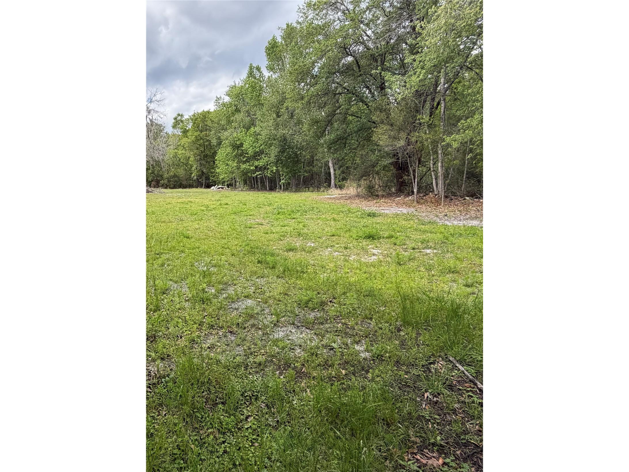 10033 SW County Road 225 Starke FL 32091 P4938428 image10