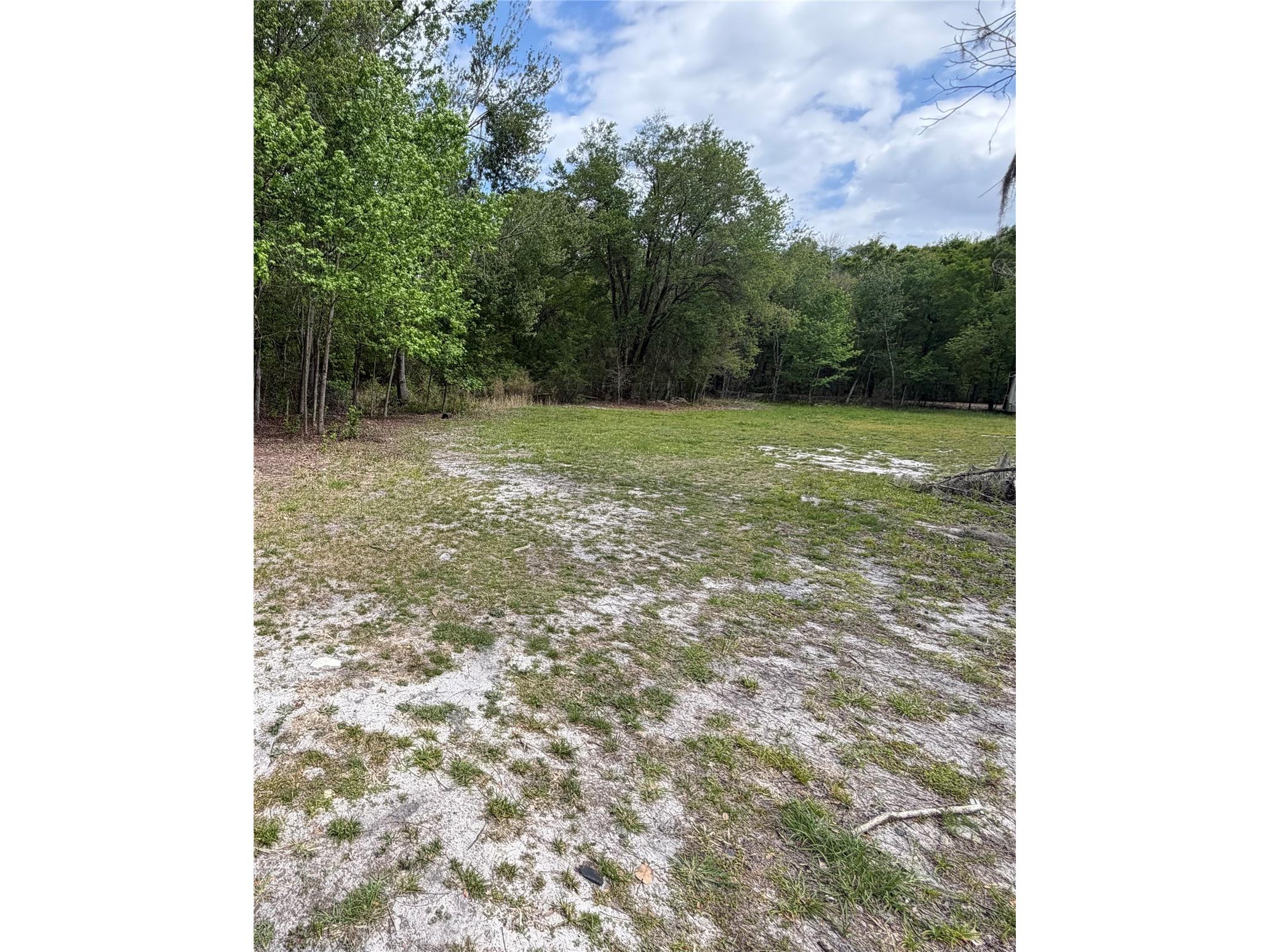 10033 SW County Road 225 Starke FL 32091 P4938428 image11