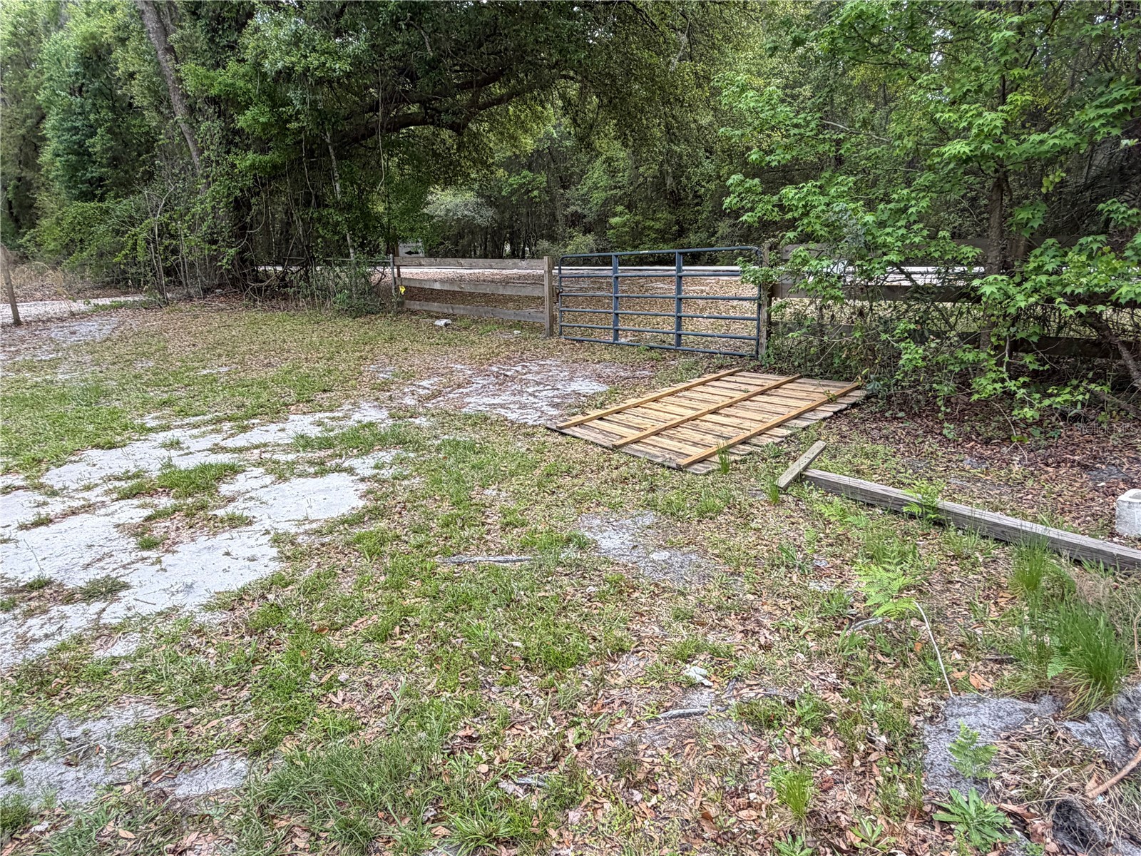 10033 SW County Road 225 Starke FL 32091 P4938428 image26