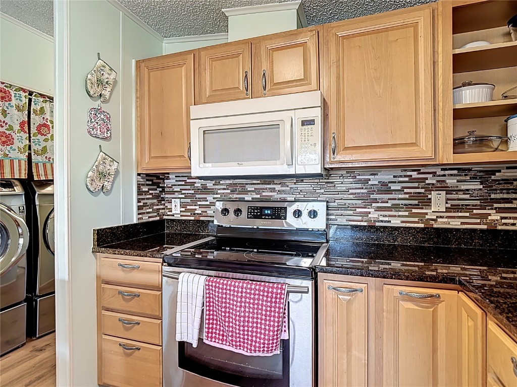 10033 Wellington Avenue Dade City FL 33525 W7874176 image10