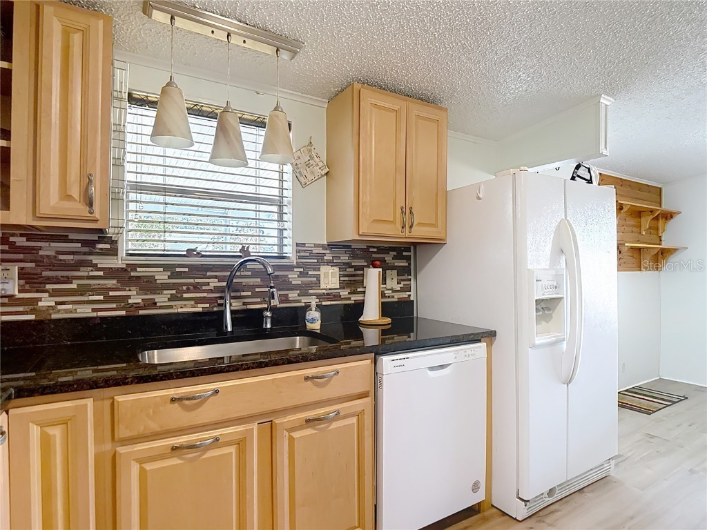 10033 Wellington Avenue Dade City FL 33525 W7874176 image11