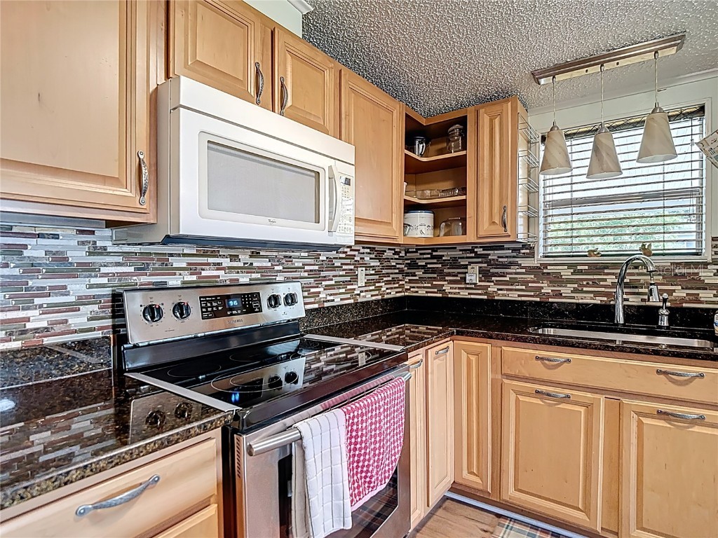 10033 Wellington Avenue Dade City FL 33525 W7874176 image12